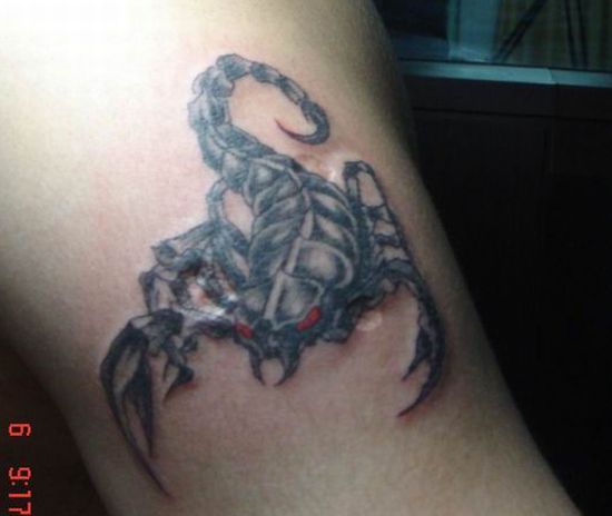 Татуировки(тату) скорпионов